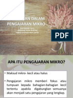 Pengajaran Mikro