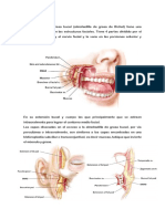 Técnica Operativa.docx