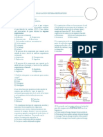 banco de pregun site respiartorio.doc