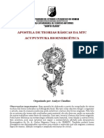 AcupunturaBioenergetica.pdf