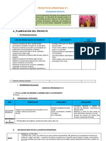 proyecton1actualizado-160321013409.pdf