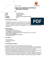 Plan-de-Trabajo-de-Comite-de-Gestion-de-Recursos-Propios 2019