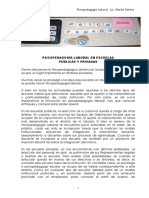 Psp Laboral en escuelas.pdf