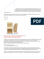 Bone Density Test