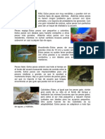 TIPOS DE ANIMALES.docx