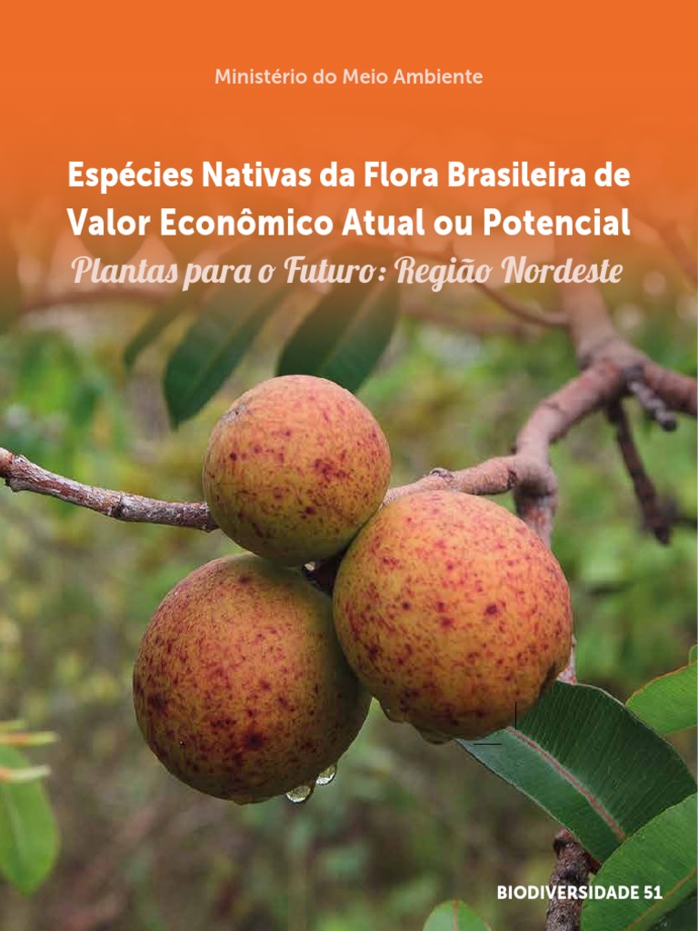 come-se: Frutas Amazônicas, parte 1. Coquinhos: pupunha e tucumã