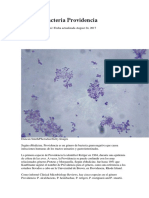 Tipos de bacteria Providencia.docx