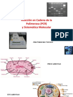 PCR y Sistematica Molecular