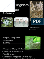 Fungus Fungicides Classification & Activity