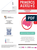 Diptico PA Convulsiones PDF