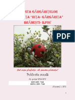 revista gargaritelor.pdf