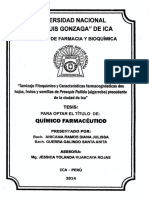 Algarrobo Caracterización PDF