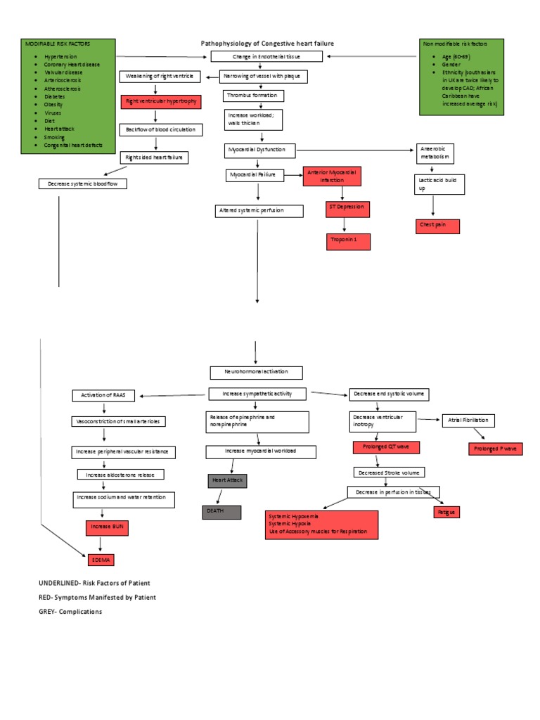Pathophysiology of Congestive Heart Failure | PDF | Heart Failure ...