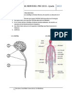 guias_nervioso2013.docx