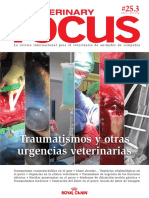 Veterinaryfocus253espcompleta PDF