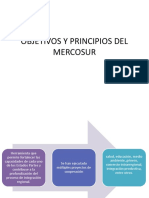 Objetivos y Principios Del Mercosur