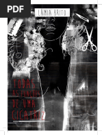 Lâmia Brito - Todas as Funções de Uma Cicatriz