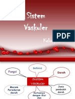 Sistem Vaskular