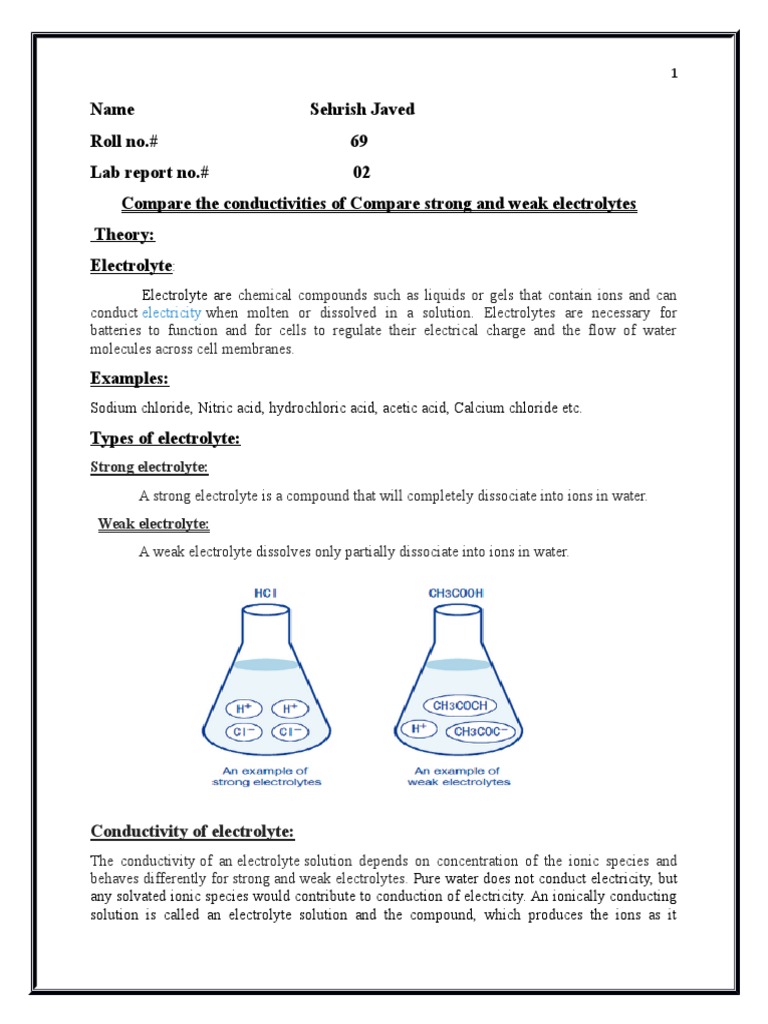 Physical Lab Report No. 02 | PDF | Electrolyte | Dissociation (Chemistry)