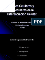 Diferenciación Celular.pdf