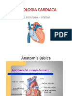 Fisiologia-Cardiaca