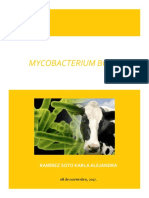 Mycobacterium bovis.docx