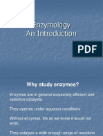 Enzymology An Introduction