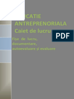 CAIET_DE_LUCRU.pdf