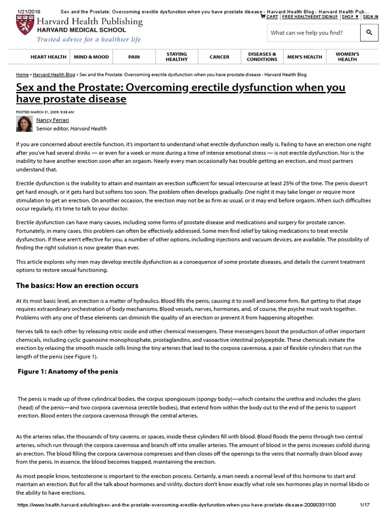 Sex and The Prostate - Overcoming Erectile Dysfunction When You Have ...