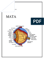 Tugas Gambar Biomedik