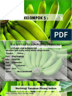 Kelompok 5