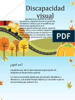 Discapacidad visual: causas, tipos y desarrollo perceptivo