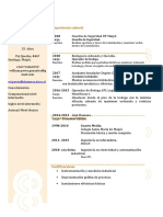 Curriculum Vitae William Pavez