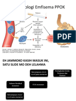 Patofisiologi Emfisema PPOKK