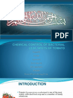 Tomato Nutrients Uses and Diseases