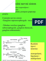 Opsta Entomologija