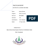 Practicum Report: Bab Ul Elam School System Chak No. 59 JB (Nathu Chak) Distt. Faisalabad
