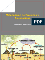 Metabolismo de Aa y Prot