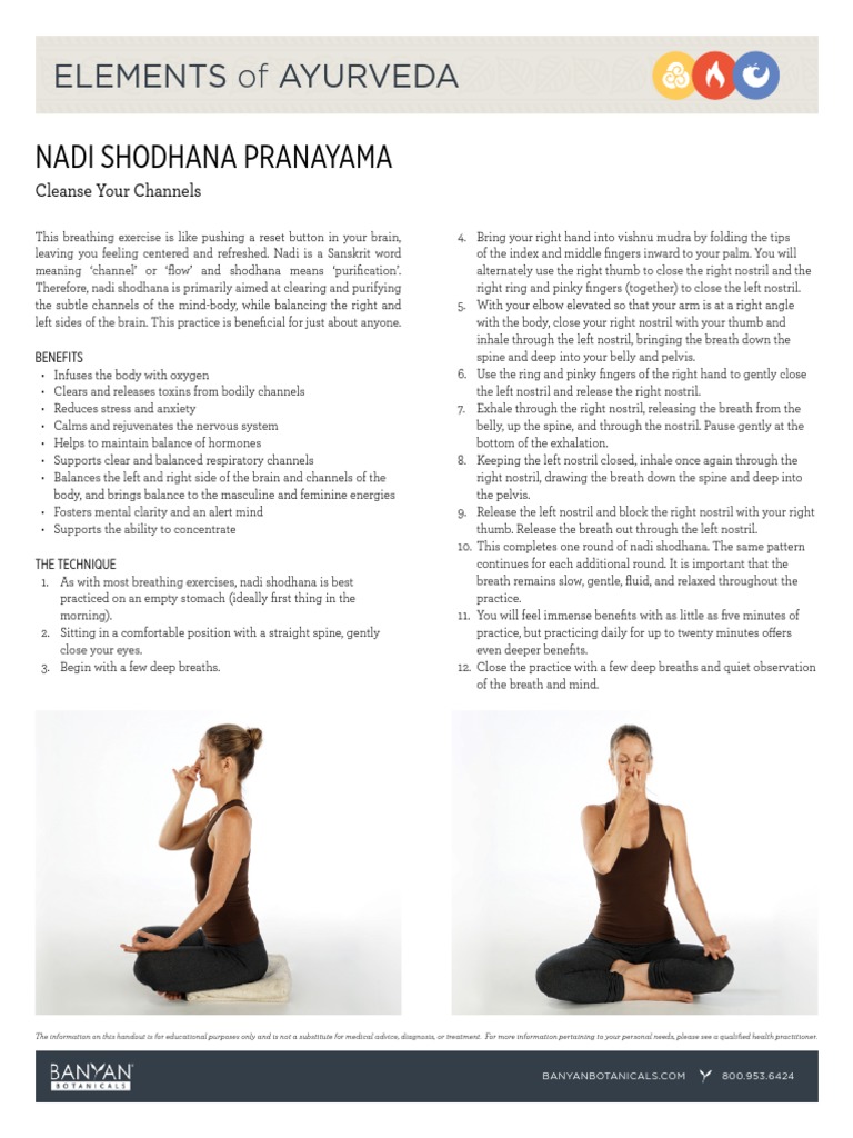 Elements of Ayurveda Nadi Shodhana Pranayama Guide PDF Breathing