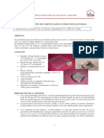Determinacion del limite Plastico.pdf