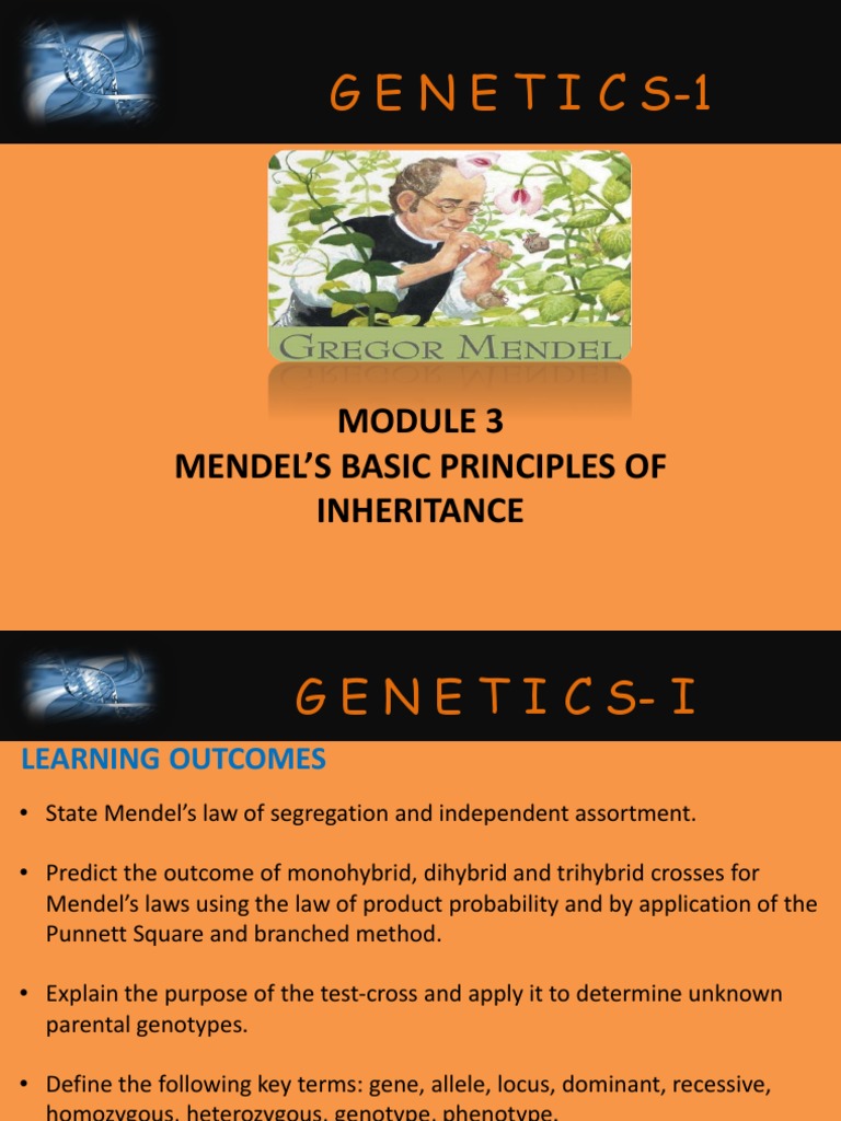 Mendel's Principles of Inheritance | PDF | Zygosity | Dominance (Genetics)