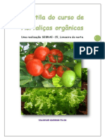 Curso de Hortaliças Orgânicas Sebrae CE.pdf
