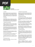 Curso de Hortaliças Orgânicas Sebrae CE