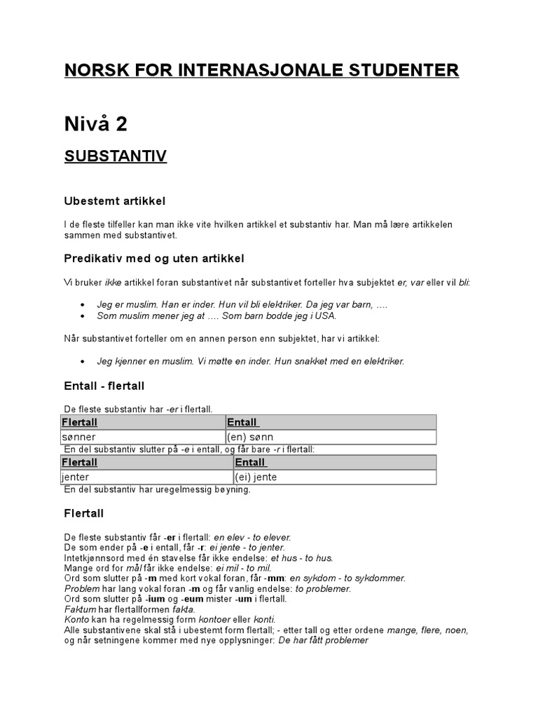 Norwegian Grammar PDF