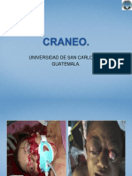  Anatomia Del Craneo 