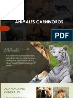 Animales Carnivoros