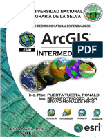 0012Manual-Arcgis-Intermedio.pdf