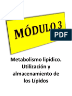 Modulo 3