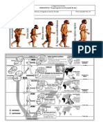 Recortes Hominizacion