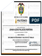 Johan Alexis Palacios Renteria: Diplomado en Seguridad Y Salud en El Trabajo